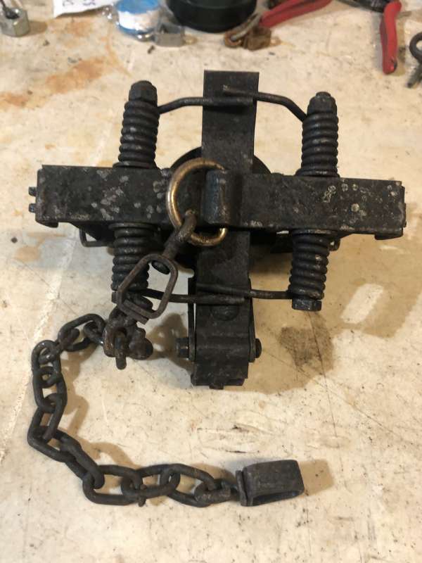 Name: IMG_1667 (1).jpg
Views: 801
Size: 49.43 KB
ID: 24659 IMG_1667 (1).jpg